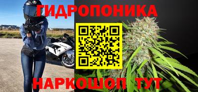 индика Партизанск