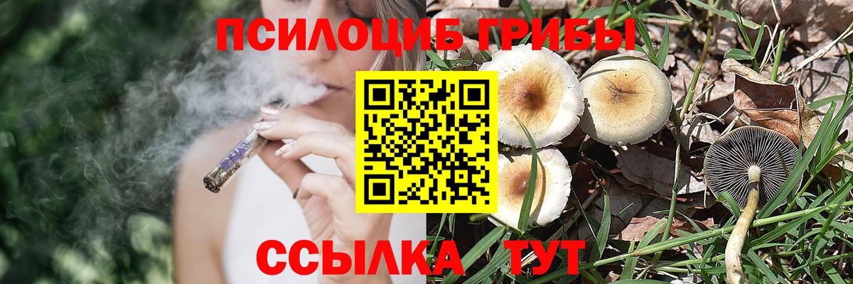Галлюциногенные грибы Magic Shrooms  наркота  Тверь  Вход с VPN 